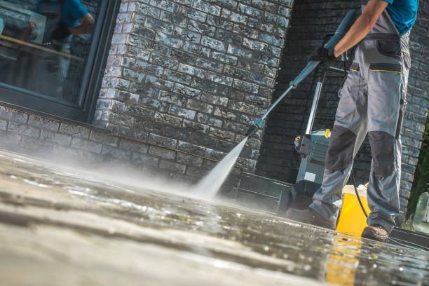Professional Pressure Washing Services in Mount Olive, AL